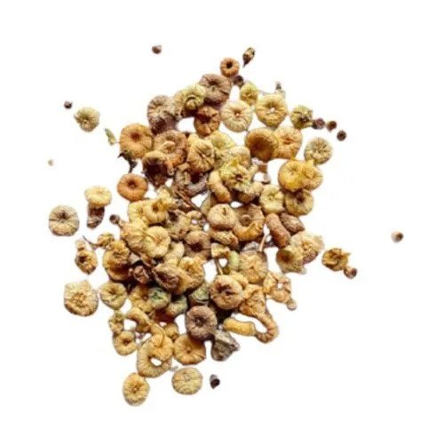 Khubbaji - Khubaji - Khoobaji - Khubbazi - Malve sylvestris - Gurchanti | TheWholesalerCo