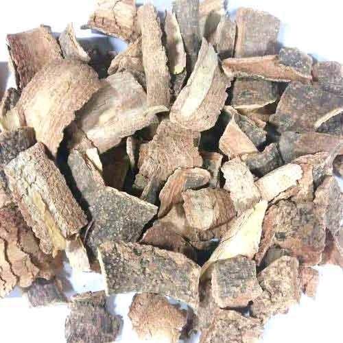 Conessi Bark Extract - Holarrhena Antidysenterica