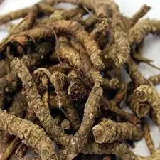 Kutki root - Katuki root - Picrorhiza Kurroa - Hellabore | 1Kg, 5Kg Wholesale price | TheWholesalerCo