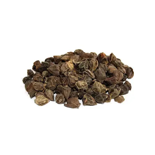 Lasoda - Lisodha - Lesuya - Dry Lesua - Cordia myxa | TheWholesaler |