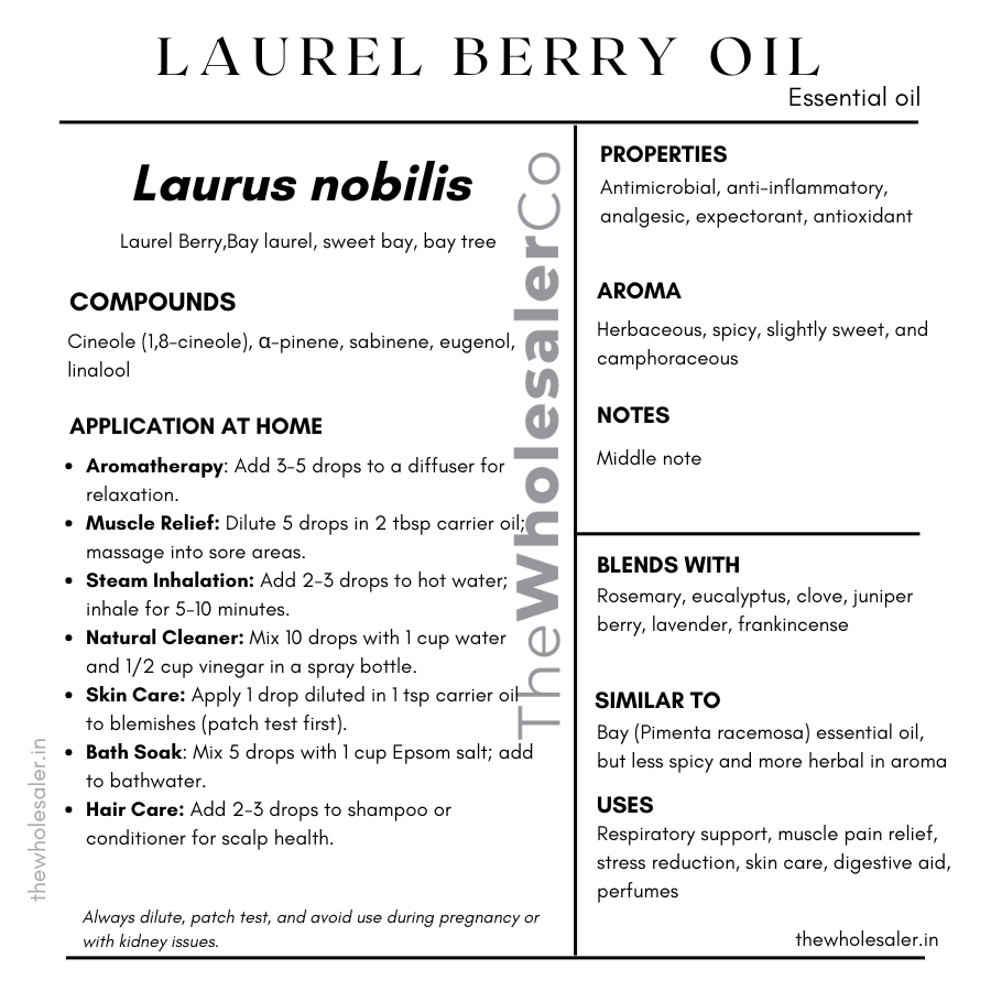 Laurus nobilis BERRY essential oil with common name, active compounds, properties,aroma, notes,blends with, similar to and uses of Laurel Berry essential oil