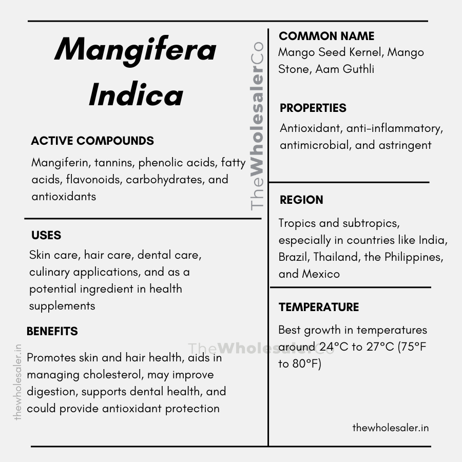 common name, Active compounds, properties, uses, benefits, growing region, temperature of Mango Seed Kernel how to use at home