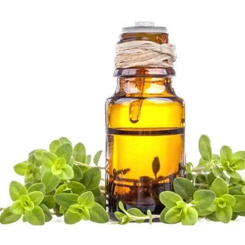 Marjoram Oil - Origanum Majorana - Essential oil@WholesalerCo