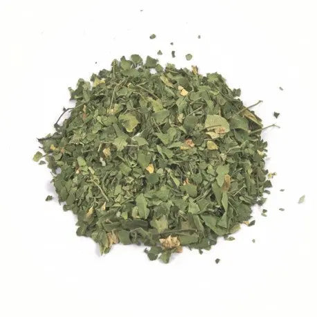 Moringa Leaf Liquid Extract - Moringa oleifera Product vendor