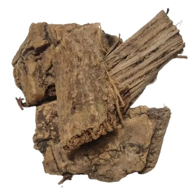 Moringa Bark - Sehjan - Drumstick - Moringa oleifera-TheWholesalerCo