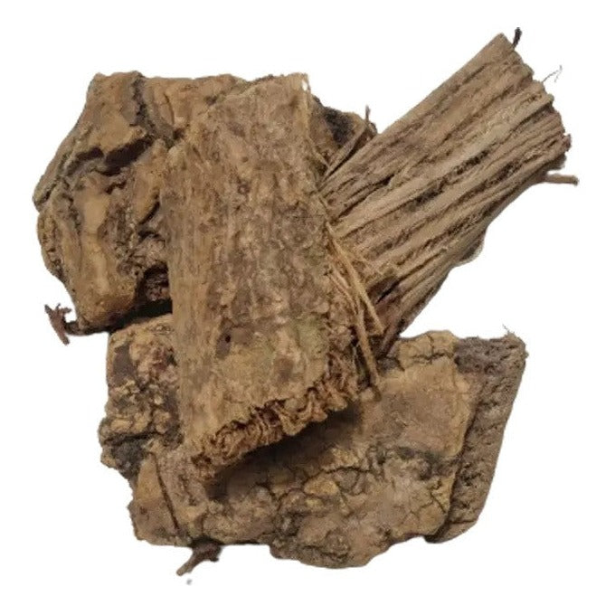 Moringa Bark Extract - Moringa oleifera-WholesalerCo