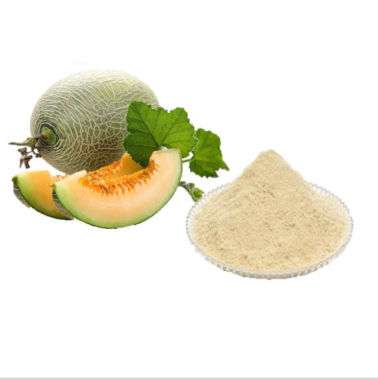 Muskmelon Fruit Liquid Extract - Cucumis melo