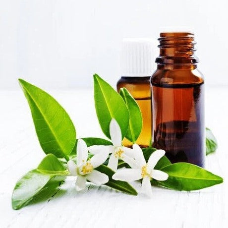 Neroli Oil - Citrus aurantium - Essential oil@WholesalerCo