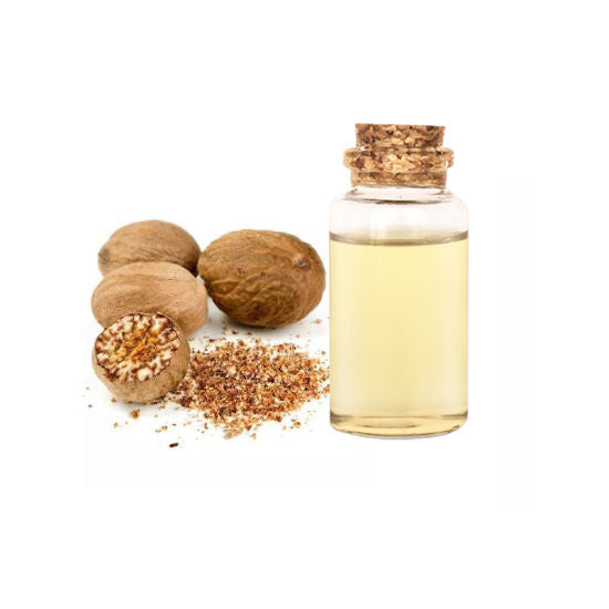 Nutmeg Oil - Myristica fragrans-Essential oil@WholesalerCo