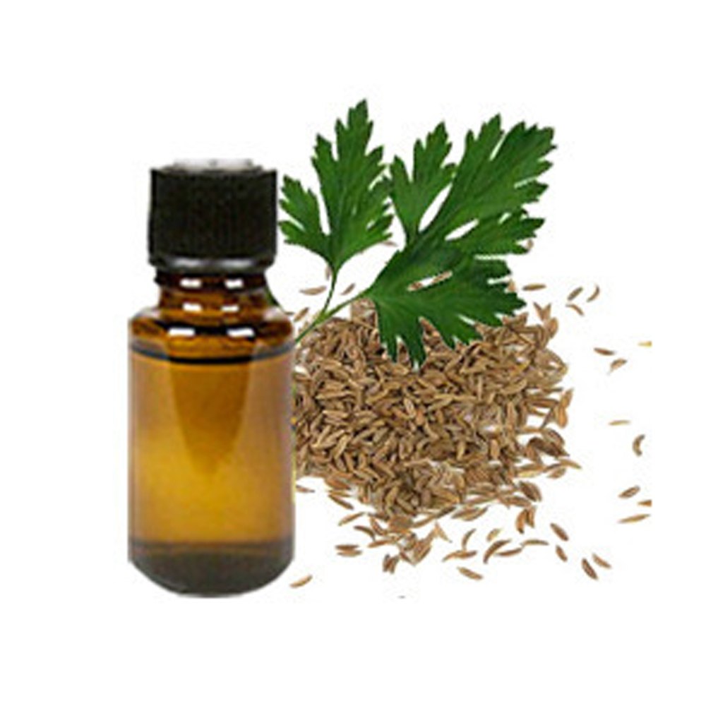 Parsley Seed Oil - Petroselinum crispum - Essential Oil@WholesalerCo