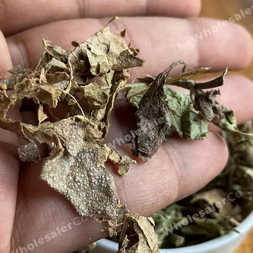 Patol Patra Leaf Liquid Extract - Trichosanthes dioica Product vendor