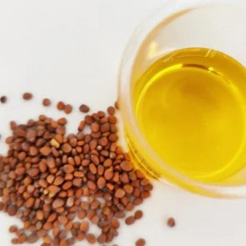 Radish Seed Oil - Raphanus sativus-Essential oil@WholesalerCo