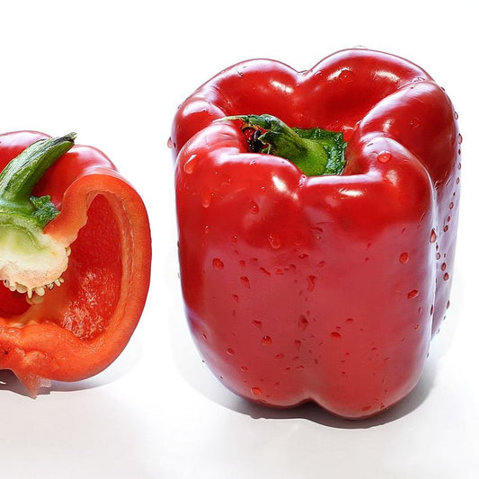 Capsicum (Red Pepper) Vegetable Extract - Capsicum annuum