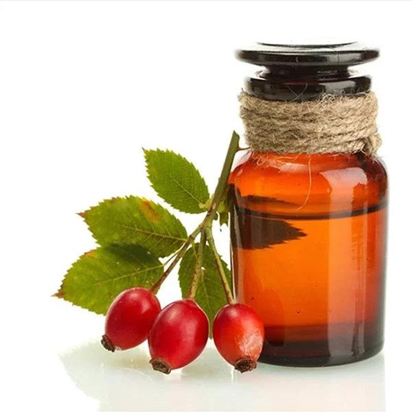 Rosehip Seed Oil - Rosa canina-Essential oil@WholesalerCo