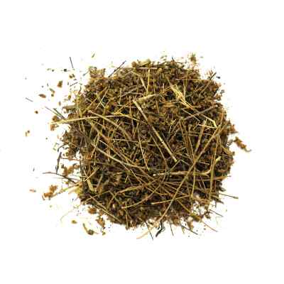 Shankhpushpi Liquid Extract - Convolvulus Pluricaulis Product vendor