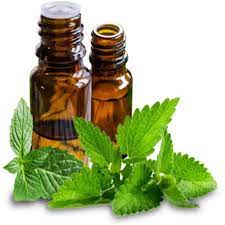 Spearmint Oil - Mentha spicata - Essential oil@WholesalerCo