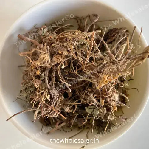Gul banafsha - Gul Banpsa - Viola Odorata - Sweet Violet - TheWholesalerCo