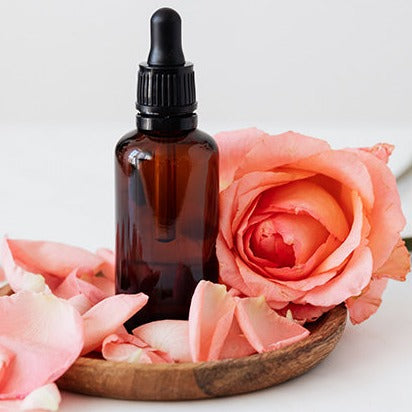 Tea Rose Oil - Rosa hybrid - Essential oil@WholesalerCo