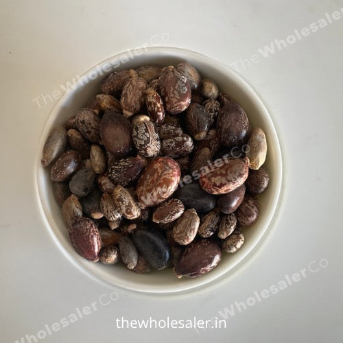 WholesalerCo-Beej Arandi - Ricinus Communis Linn - Castor Seeds