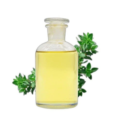 Thyme Oil - Thymus vulgaris - Essential oil@WholesalerCo