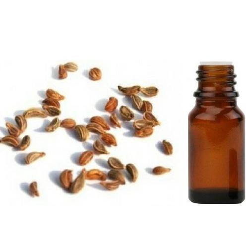 Tomar Seed Oil - Zanthoxylum alatum - Essential Oil@WholesalerCo