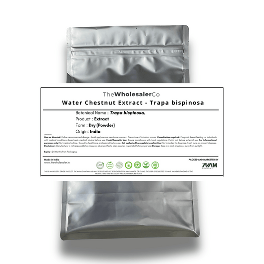 Water Chestnut Extract - Trapa bispinosa