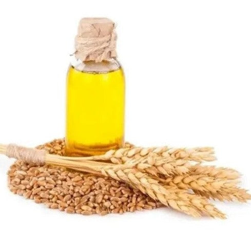 Wheat germ Oil - Triticum aestivum - Essential oil@WholesalerCo