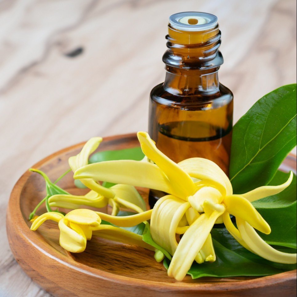 Ylang Ylang Oil - Cananga odorata-Essential oil@WholesalerCo