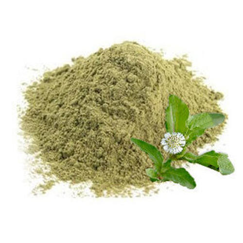 thewholesalerco-Bhringraj Powder - Eclipta alba - False daisy