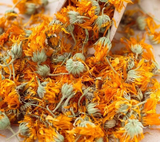 Calendula Flower Extract - Calendula officinalis