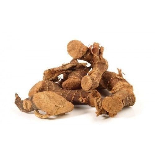 Kulanjan - Kulinjan - Paan Jadd - Galangal root - Alpinia Galanga Wild - Siamese Ginger - Thai Ginger | TheWholesalerCo |