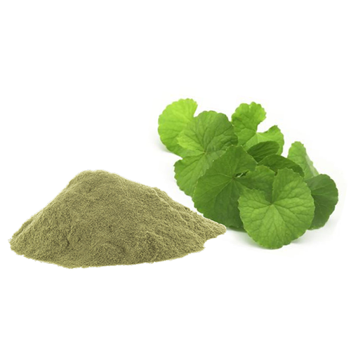 thewholesalerco-Brahmi Powder/Churan- Bacopa Monnieri - Water hyssop