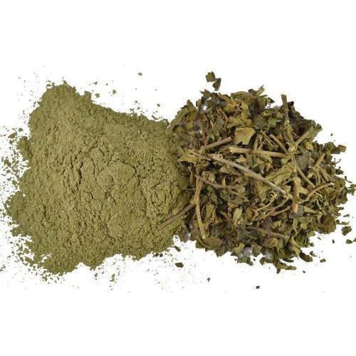 thewholesalerco-Gurmar Powder - Gudmar Leaves powder - Gymnema Sylvestre - Periploca Of The Woods