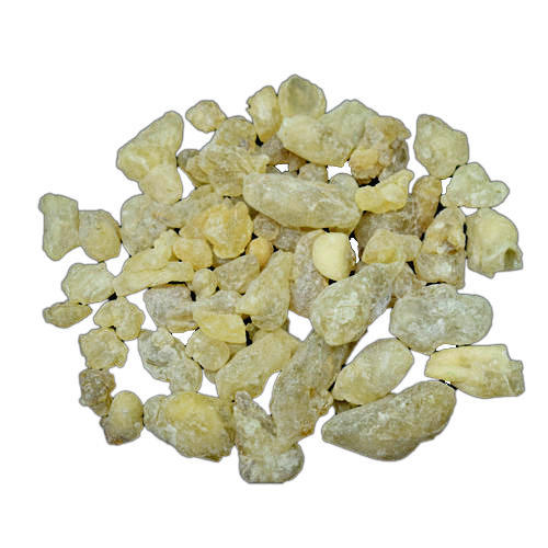 KUNDRU GUM-Resin and Gum-Shallaki Gum | Wholesale price 1 Kg, 5 Kg Natural Gum and Resin | TheWholesaler