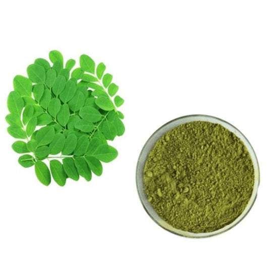 thewholesalerco-Moringa Powder - Drumstick - Moringa Oleifera