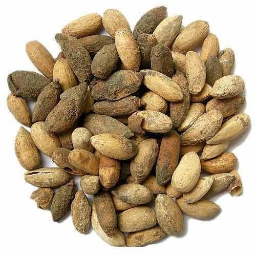 Neem Seed Extract - Azadirachta Indica