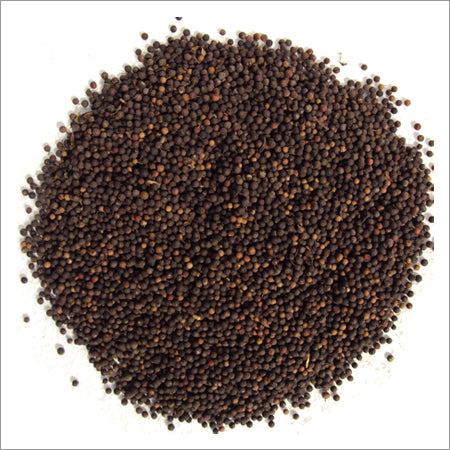 Baibadang - Vaivadang Black - Vidanga - Vayuvilamgam - Embelia Ribes | TheWholesalerCo