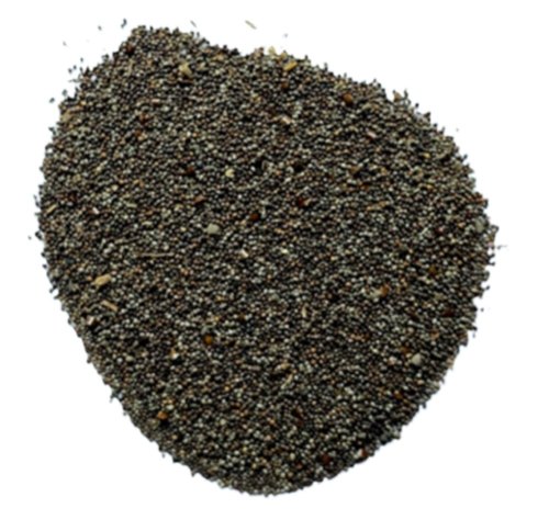 Beej Band Kala - Bala Beej - Sida Cordifolia | 1 Kg, 5 Kg -Wholesale price |