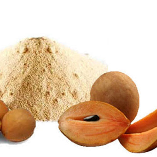 Chikoo Fruit Extract - Manilkara zapota