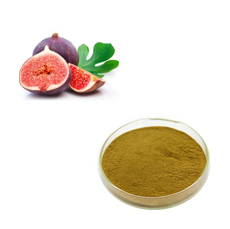 Fig - Fruit Powder - Anjeer - Anjir - Ficus carica | 1Kg, 5Kg Wholesale price |