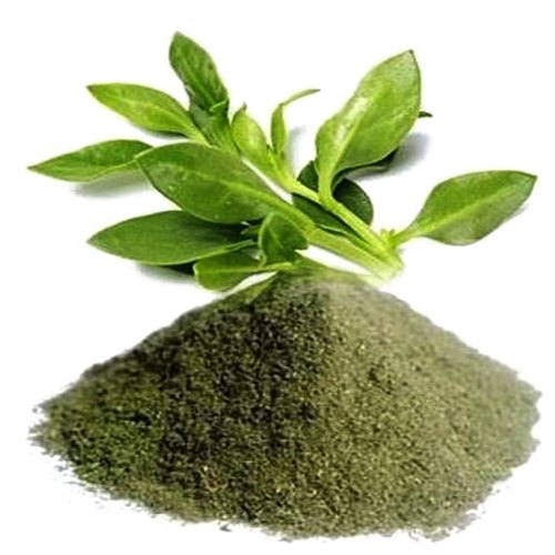 WholesalerCo-Kalmegh Powder - Chirayta Hara - Andrographis Paniculata