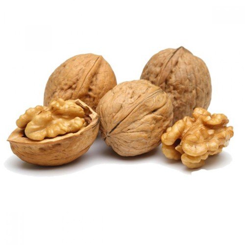 Walnut Extract - Juglans regia - akhrot