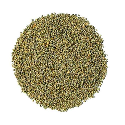 thewholesalerco-Bajra - Pearl Millets - Sajjalu - Pennisetum glaucum