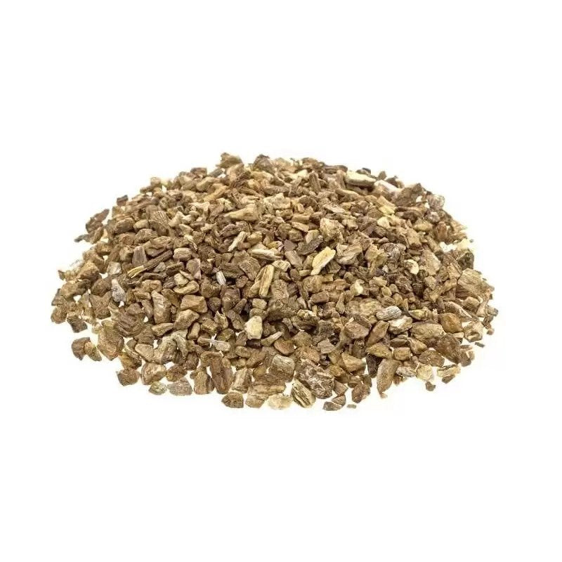 Burdock Root - Arctium Lappa | TheWholesalerCo