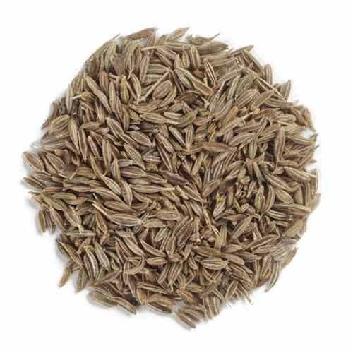 Jeera Khar - Jeera Khair - Carum Carvi- Buy Spices at Wholesale Price | TheWholesalerCo