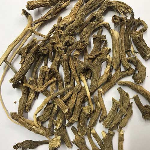 Dandelion Roots - Singhparni Jadd - Taraxacum Officinale | TheWholesalerCo