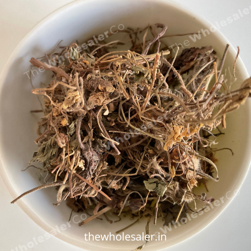 Gul banafsha - Gul Banpsa - Viola Odorata - Sweet Violet - TheWholesalerCo