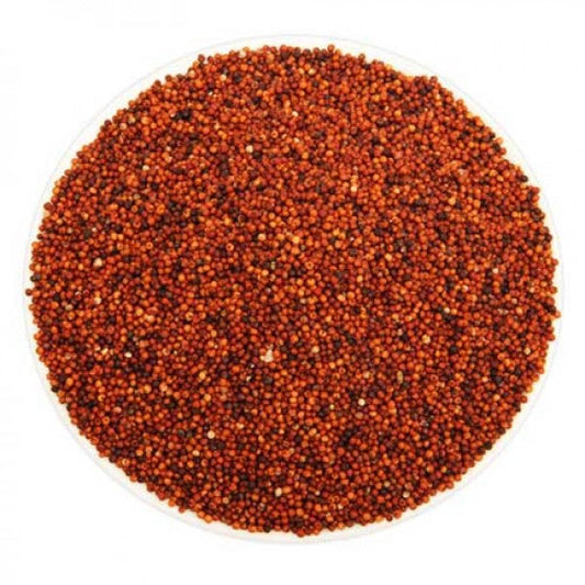 thewholesalerco-Ragi - Raagi - Mandwa - Madua - Finger Millet - Eleusine coracana