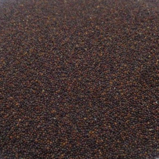 thewholesalerco-Samunder Sokh - Kamarkas Seeds - Samudra Sosh - Samundar Sokh - Argyreia nervosa