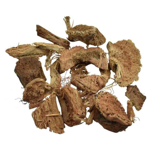 thewholesalerco - Semal Bark - Seep Moti Asli - Semal Chaal - Bombax malabaricum